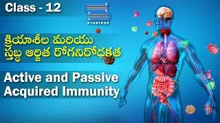క్రియాశీల & స్తబ్ద ఆర్జిత రోగనిరోధకత - Active & Passive Acquired Immunity | Biology | Class 12 Bipc