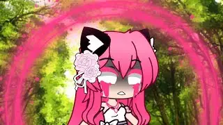 The 3 Jewels Wishes (Part 5)