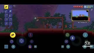 играю в Terraria #2