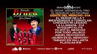 Por Todo Jalisco - Banda Brava Mix