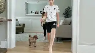 Puppy playtime with 