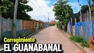 Entramos a El Guanabanal, Un Corregimiento de Palmira Valle 🇨🇴