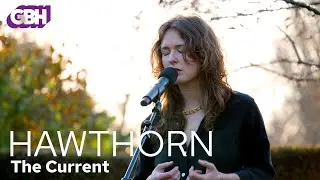 Hawthorn – The Current (Live)
