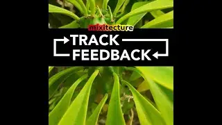 Track Feedback 11 Nov 2022