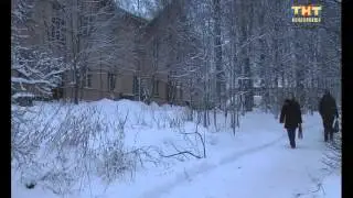 Волк вышел на охоту! 16.12.2015