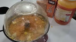 How to make movie theater popcorn at home