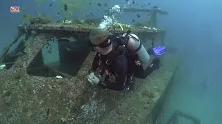 Дайвинг с дайв-клубом DVDIVER!!!