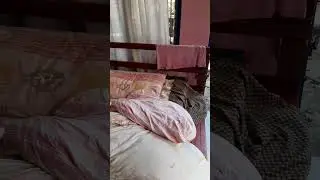 See How God Protects Us