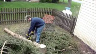 Chubart chainsawing