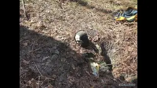 В лесу нашли пропавшего 2 года назад туриста, прикованного к дереву наручниками #NEWKLIP