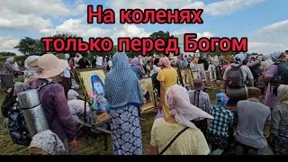 На коленях только перед Богом!