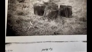Platinum Palladium Prints from Collodion Dry Plate Negatives