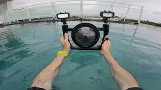 TELESIN Dome Port with Diving Stabilizer Kit for GoPro Hero 11 Hero 10 Hero 9 Black
