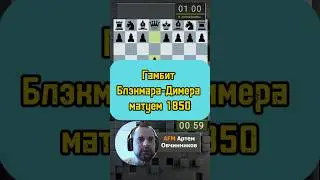 Гамбит Блэкмара-Димера 