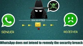 WhatsApp contains a security vulnerability | the company does not intend to correct