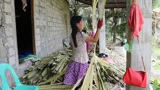 Raw Buri Palm Leaves Materials