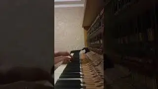 Вир  и Зара на пианино.Vir &Zara piano tutorial