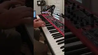 Worship song excerpt. White grand only