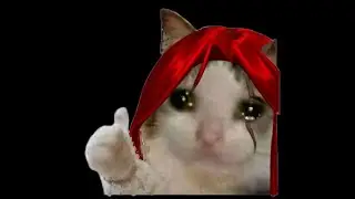 EWQEWQEWQEWQ 5