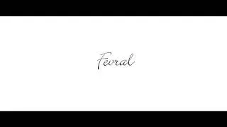 Benom - fevral