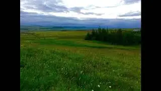 Birdsong at Night in June in South Iceland