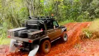 Old Cairns Track 2019
