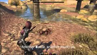 TESO Quickslot problem - pressing Q does (mostly) nothing