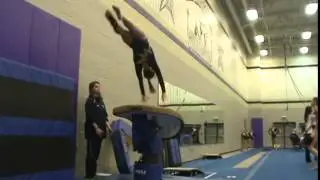 Sarah vault