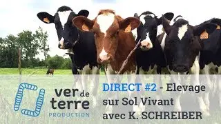 DIRECT #2 - Productivity, profitability and carbon - Konrad SCHREIBER