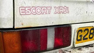 Car graveyard we even found a ford escort xr3i