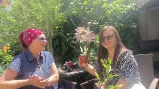 ЕДУ В ГОСТИ🌟🌟АЛЁНА- КОЛЛЕКЦИОНЕР ХОСТ🌟ВОЛГОГРАД 2023.