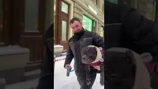 5 декабря 2023 г.