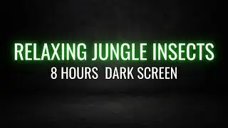 Sleep Sounds: 8 Hours of Soothing Relaxing Jungle Insects (Black Screen) for Sleep & Relaxation