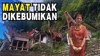 Tana Toraja: Village of the Dead? | Why Do Torajans Keep Corpses in Their Homes 