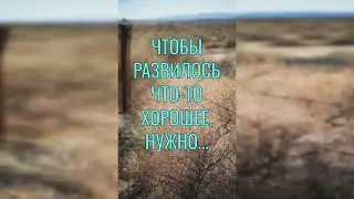 Притча со Смыслом | Притча о Сорняках | Мудрые Слова 