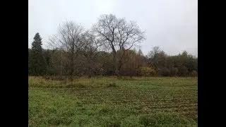 Совместный коп с Вятским странником.