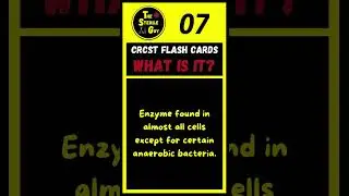CRCST Flash Card #4 | 