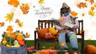 Thanksgiving Set 24 - Virtual Green Screen Background Loop