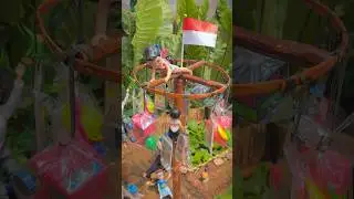 Agus panjat pinang #barbiejowo #17agustus #shorts
