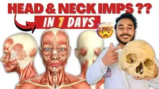 Head and neck anatomy in 7 days | important topics of head and neck | head and neck important topics