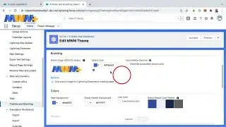 Themes and Branding in Salesforce - How to Upload a Custom Logo in Salesforce and Make it Your Own!!