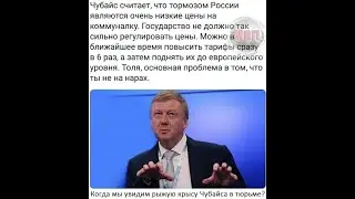Сбор ряски или прогулка с собаками.