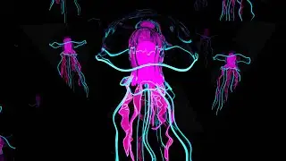 Female Meditation Vocal Samples
