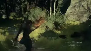 Short Archer Gif Compilation 