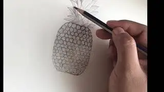 Pencil Sketch : Pineapple| Easy and Simple | Tutorial: How to draw a pineapple