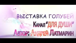 Выставка голубей/ Июнь г. Магнитогорск. Часть 1. 2022г