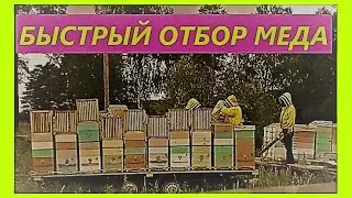 Быстрый отбор меда. Гнездо 300 + магазины.
