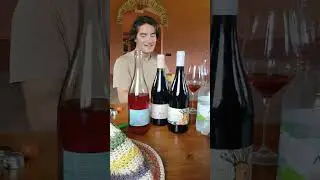 Giacomo Tanganelli describing the Galilejo Rosato