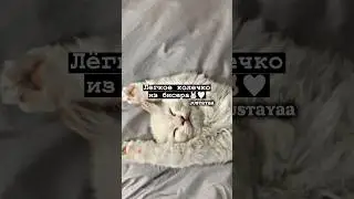 Лёгкое колечко из бисера🐰🤍#shorts #tiktok #рекомендации #2023 #тренды #врек