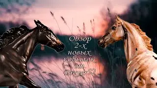 ЛОШАДЬ В РАССРОЧКУ ЗА 13.000 РУБЛЕЙ? | BREYER | ОБЗОР НОВЫХ КОБЫЛОК